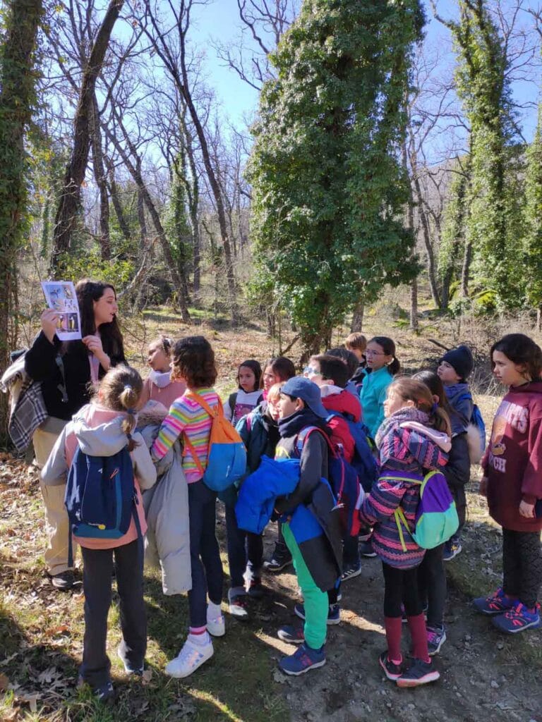 Alumnos disfrutando de una salida educativa en la sierra de Madrid