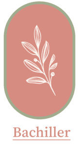 logo para bachillerato dejando huella eco